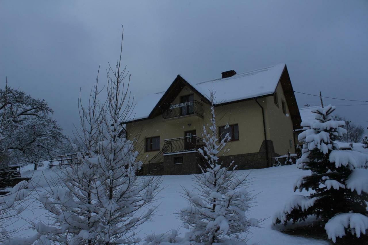 Nad Zalewem Villa Jaszczurowa Bagian luar foto