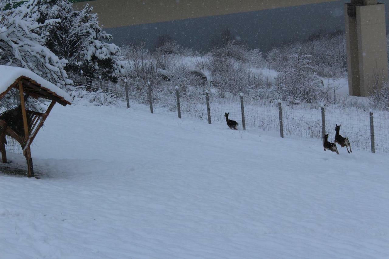 Nad Zalewem Villa Jaszczurowa Bagian luar foto